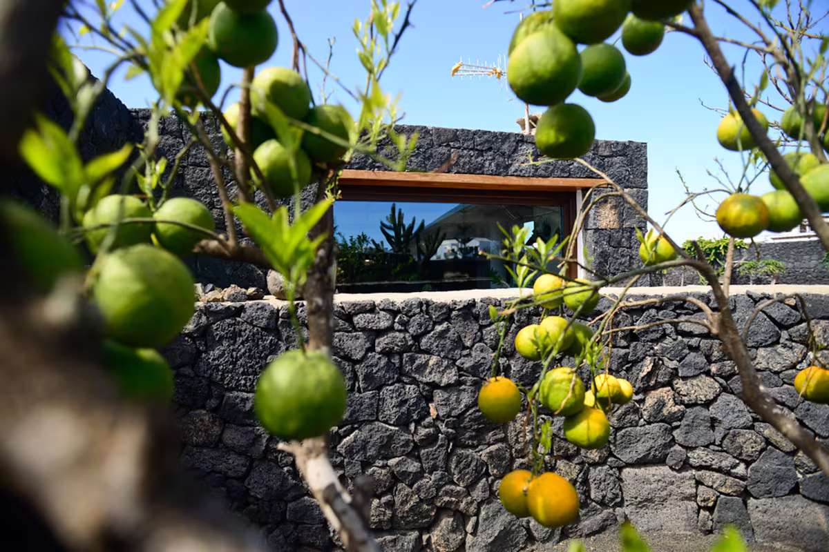 accommodations.eco_suite_la_vegueta.image_alt.image_2