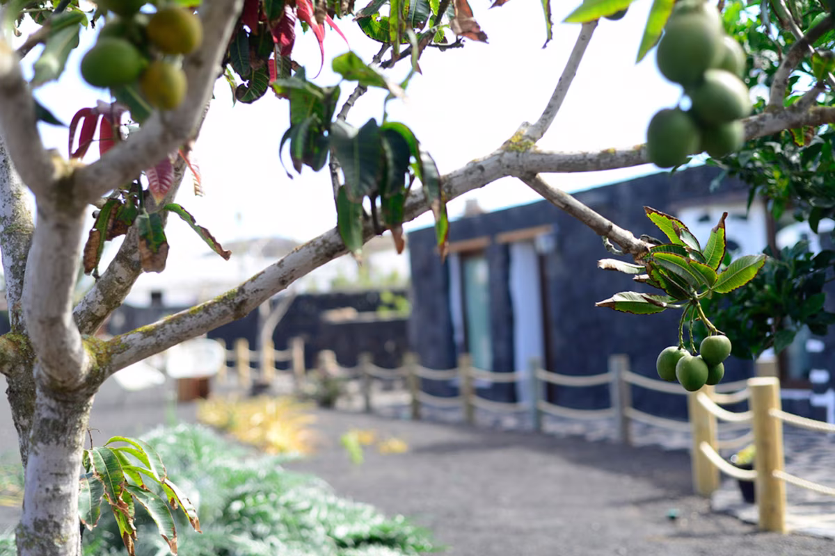 accommodations.eco_suite_la_vegueta.image_alt.image_13